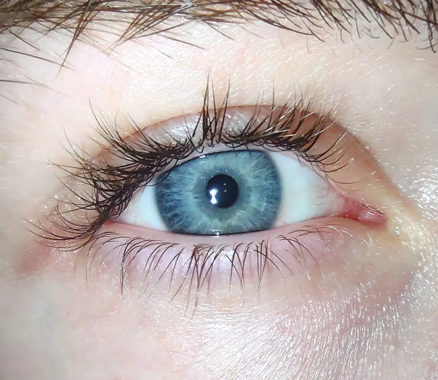 Close-up of a blue eye and defined lashes